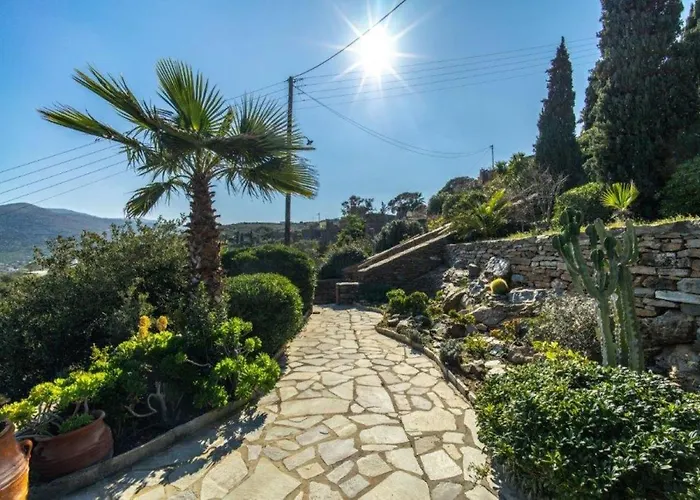 Sophie's Choice Otziás